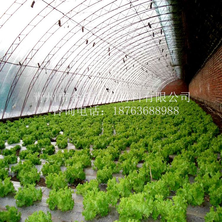 霧霾天氣薄膜溫室大棚如何排風