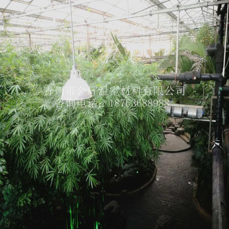 室內(nèi)園林景觀