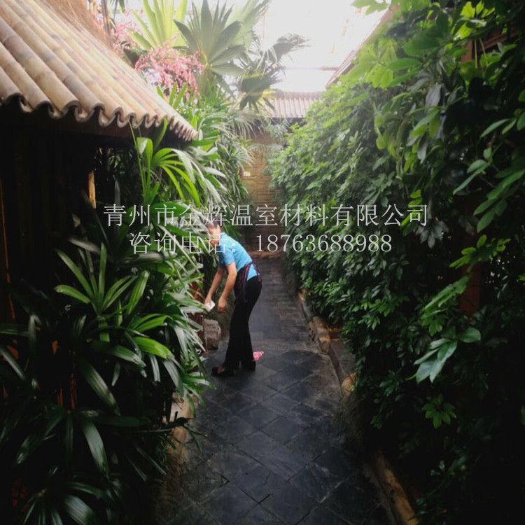 室內(nèi)園林景觀